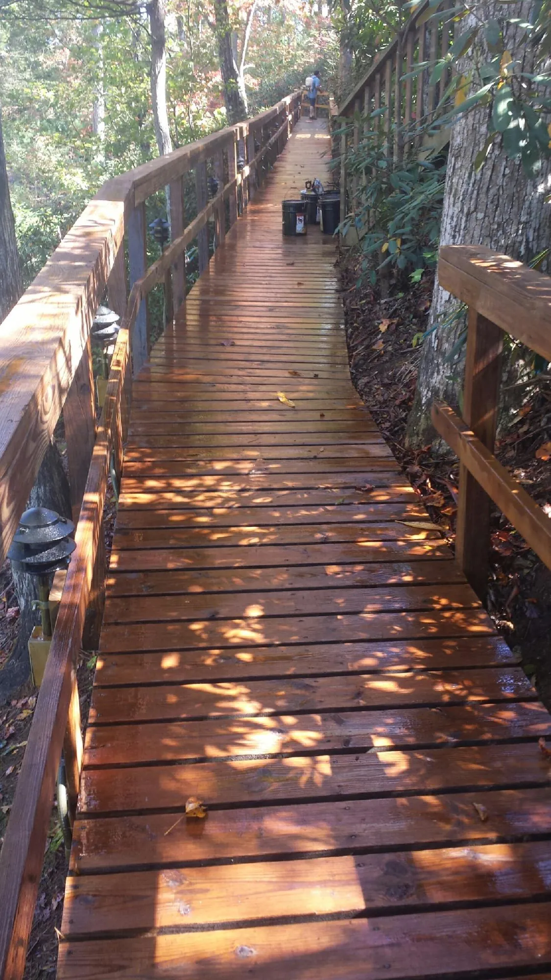 Freshly stained wood walkway winding through the woods in Cresco